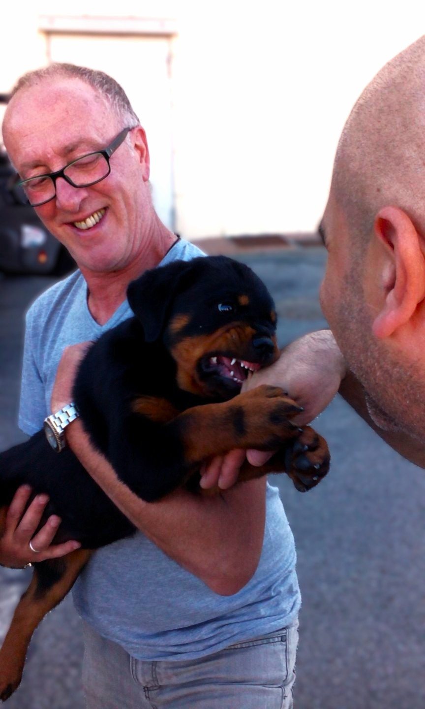 Gestione di cani impegnativi fin da cuccioli