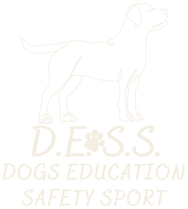 Dogs Education Safety Sport ASD APS