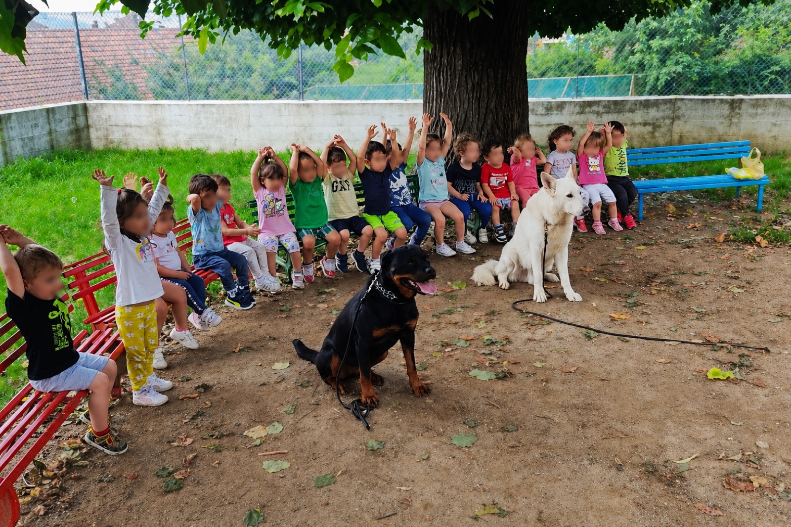 Bambini imparano ad avvicinarsi ai cani in sicurezza