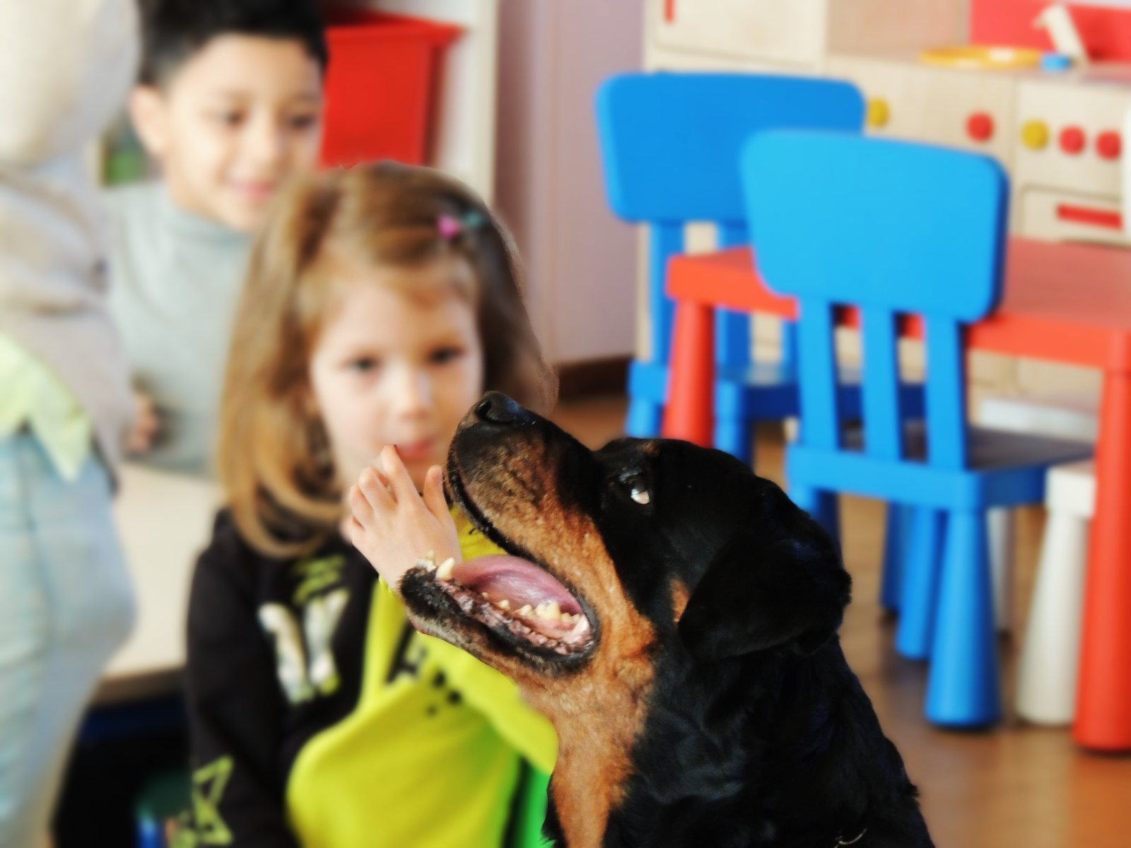 Bambini imparano ad avvicinarsi a un rottweiler in sicurezza, in classe